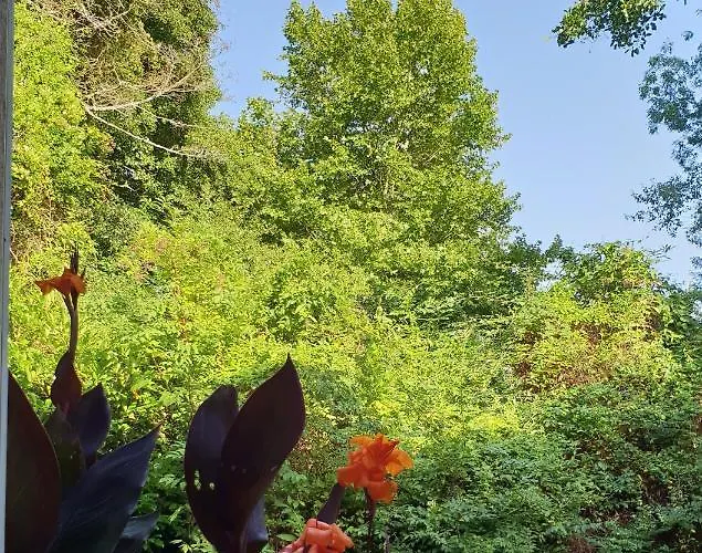 Le Clos Nicolas Ξενοδοχείο 3*